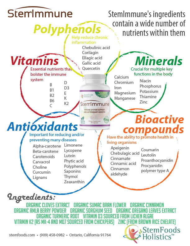 StemImmune flyer