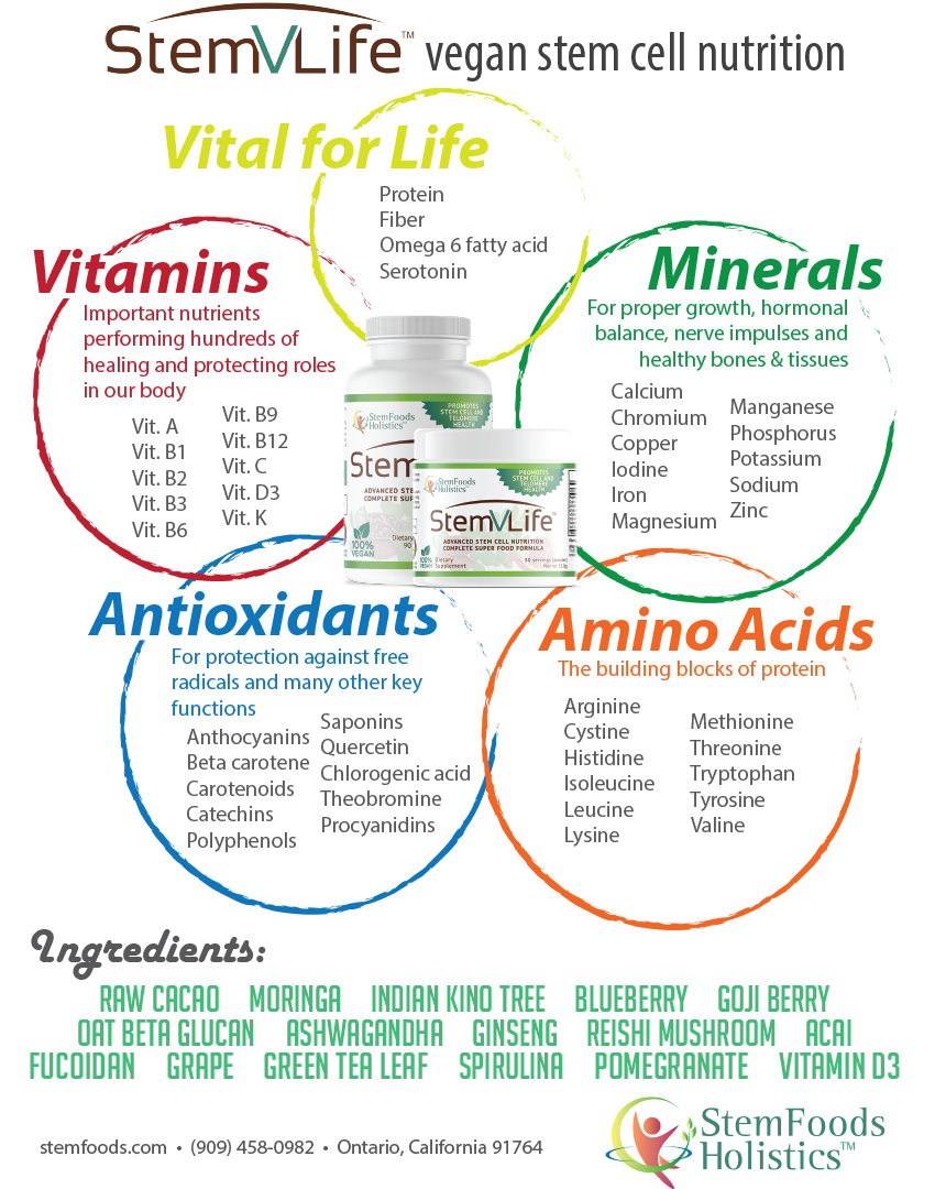 StemVLife flyer